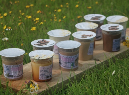 Ferme Dumesnil - Crème Dessert x10