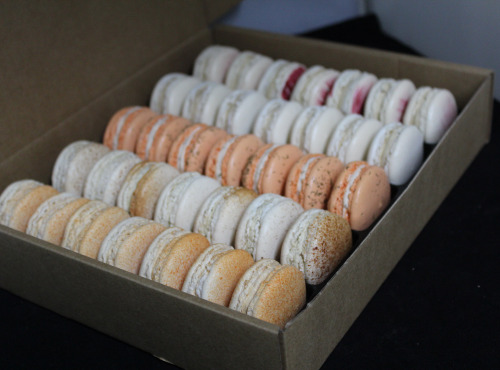 Les Macarondises - 35 Macarons Sucré-salés Prestige