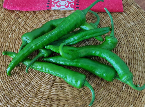 Elissalde Le Potager Basque - Piments Elissalde Basque Ultra-doux 100% Naturel 150 g