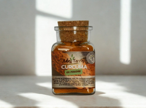Adal Terra - Epices - Curcuma Biodynamique (en poudre) 60G