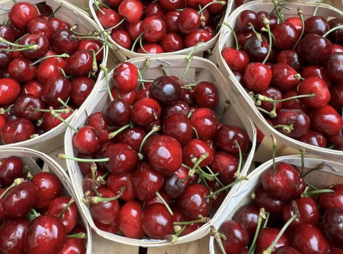 Domaine Reverchon - Cerises du Vaucluse 1kg