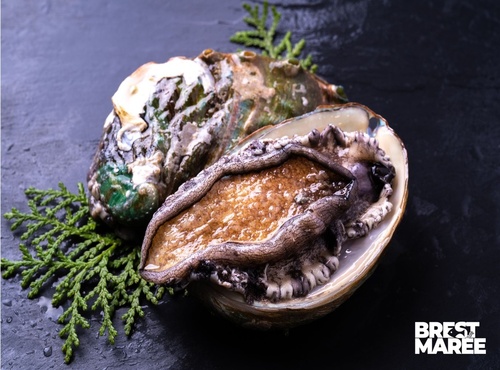 Brest Marée - Ormeaux - 1kg