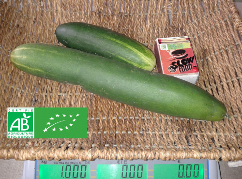 LES JARDINS DE KARINE - Concombres verts - 1kg