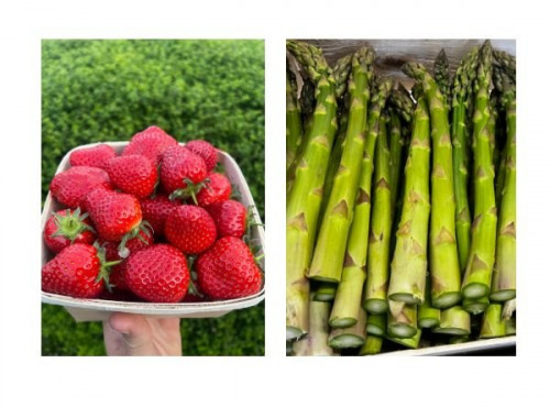 Domaine Reverchon - Lot Asperge verte 2kg et 1kg fraise clery