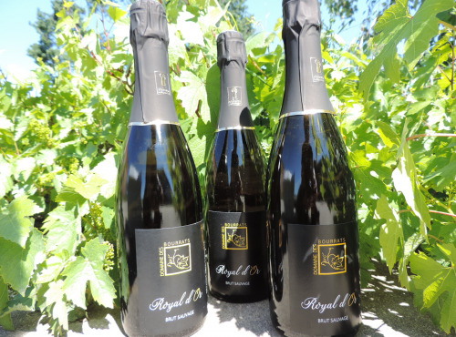 Domaine des Bourrats - Méthode Traditionnelle Royal d'Or - 3 bouteilles