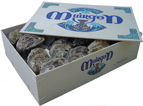 Saint Kerber - Cancale - Huîtres - La Spéciale Muirgen 🇮🇪 n°3 - 50 pièces