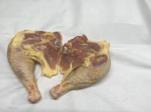 Des Poules et des Vignes à Bourgueil - 2 cuisses de poulet de Bourgueil