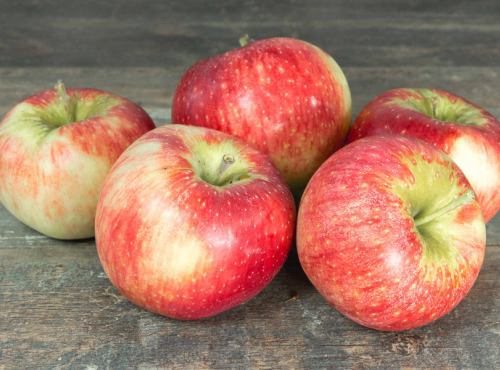 La Boite à Herbes - Pomme Reine De Reinette - 1kg