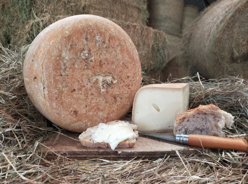 La ferme Lassalle - Fromage de Brebis AOP Ossau-Iraty Fermier de Printemps Demi-boule - 2,4kg - 6 mois