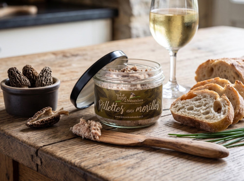 Le Tuyé de Mésandans - Rillettes aux morilles 180g