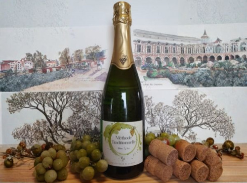 Cave Creuzet - Les Caves aux Caux - Méthode traditionnelle Blanc - Demi-sec - Lot de 6