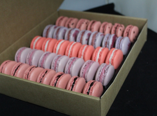 Les Macarondises - 35 Macarons Fruits Rouges