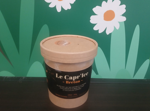 Les Pâturettes de Bodavel - Glace Capr'Ice Breton 480ml