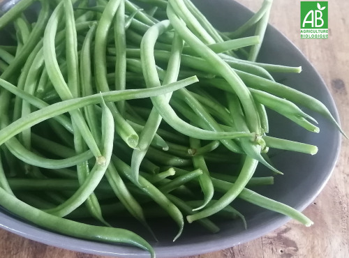 Ferme de Carcouet - Haricots Verts Bio - 1 kg