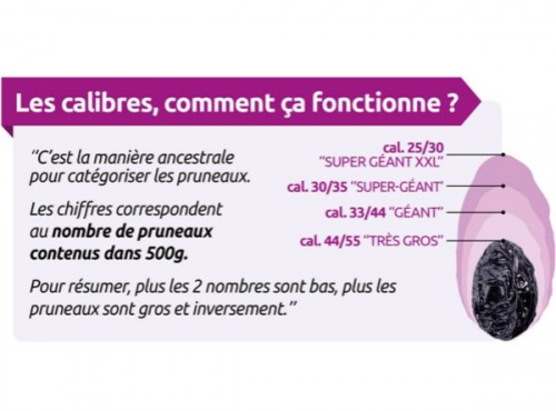 Maison du Pruneau - Cueillette du Gascon - Pruneaux d'Agen IGP Bio (calibre 33/44 - Géant) - 500g