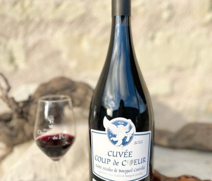 Domaine de la Chopinière du Roy - Vin Rouge Saint Nicolas de Bourgueil 2022 Magnum 1,5 litres