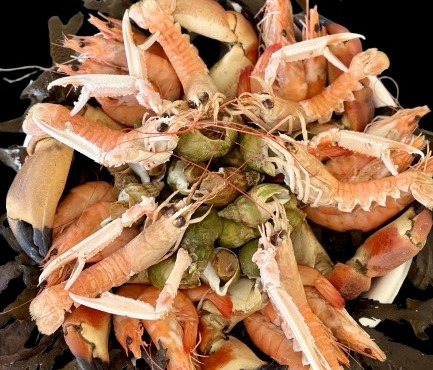Le Termer - Plateau de fruits de mer 1