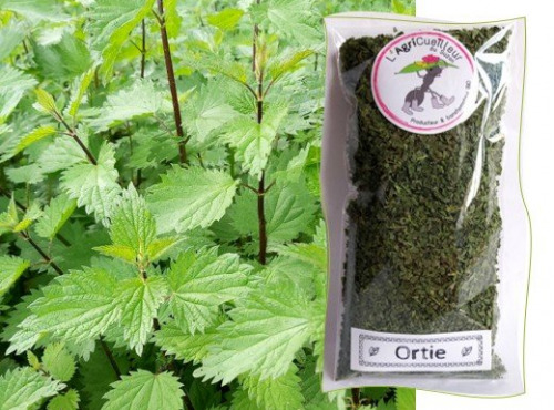 L'Agricueilleur du Suzon - Ortie Bio