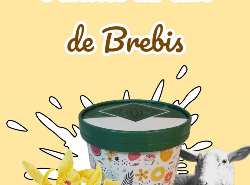 Chaloin Chocolats - Crème glacée Lait de Brebis