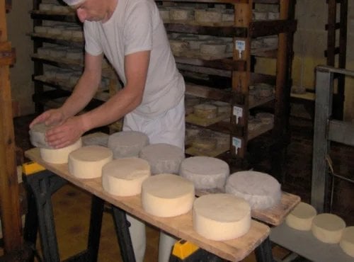 Fromagerie de la Chapelle Saint Jean - Tomme fraiche quart