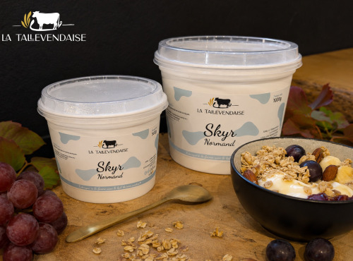 La Tallevendaise - Skyr nature 500g