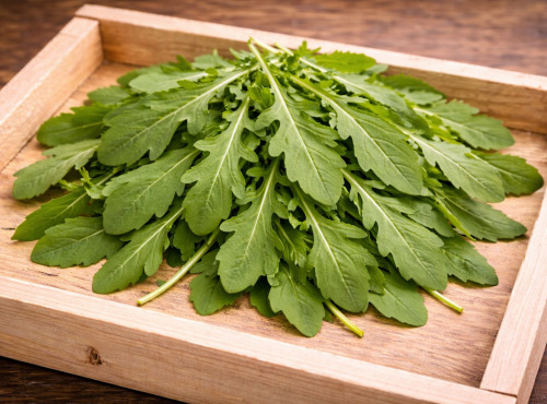 Nature et Saveurs - Ferme Aquaponique et Permacole Astérienne - Jeunes feuilles de roquette cultivée — fraîcheur et caractère