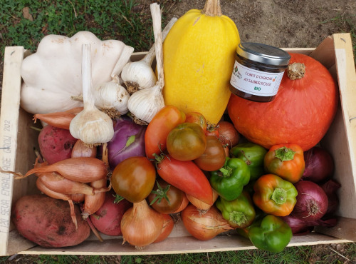 La Ferme de Milly - Anjou - Panier Bio du maraîcher-10kg