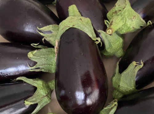 Des Poules et des Vignes à Bourgueil - Aubergine du jardin