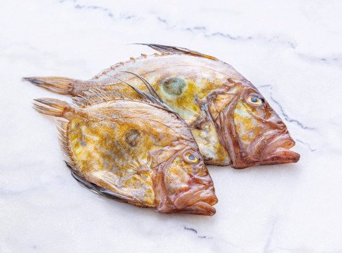 Poissonnerie La Piriacaise - Saint-Pierre entier pièce de 1.3/1.8 kg