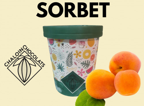 Chaloin Chocolats - Sorbet Abricot de Provence