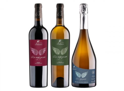 Château Balsamine - Lot AOC Gaillac “Un Ange Passe” – Château Balsamine – 2 Rouges, 2 Blancs, 2 Bulles – 6x75cl