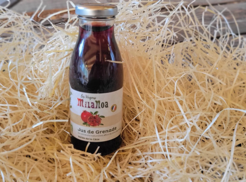 Les Jardins de Gérard - Jus de Grenade Bio - 25cl
