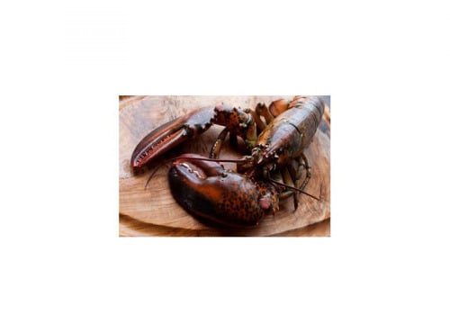 Ma poissonnière - Homard piece de 600gr