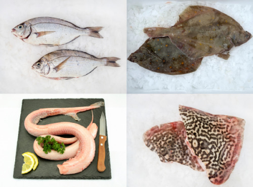 Godaille de l'Armement Cherbourgeois - En Direct du Bateau - Box du Pêcheur - poissons de saison - Colis de 4kg