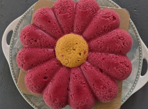 Le Jardinier Glacier - PAQUERETTE FRUITS ROUGES ABRICOT