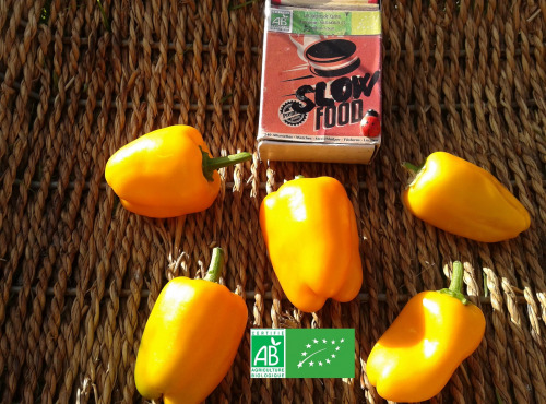 LES JARDINS DE KARINE - Poivrons oranges mini - 100g