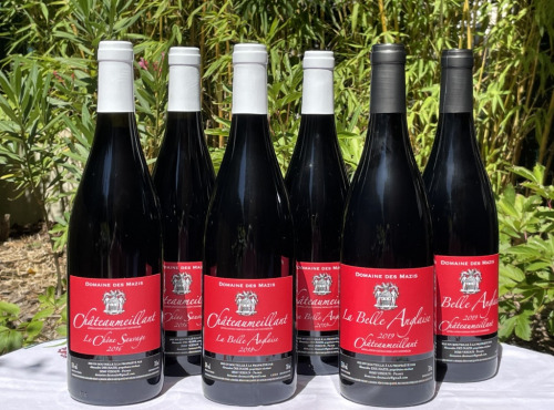 Domaine des Mazis - AOC Châteaumeillant - Découverte 2018/2019/2020 - Rouges - 6x75 cl