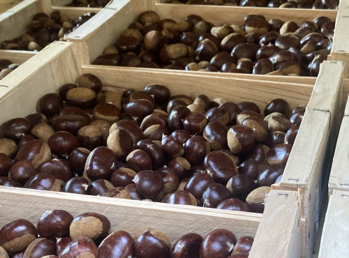 Ferme du Moulin de Nadal - Châtaigne Marigoule G2 - Bio & Demeter - 5kg