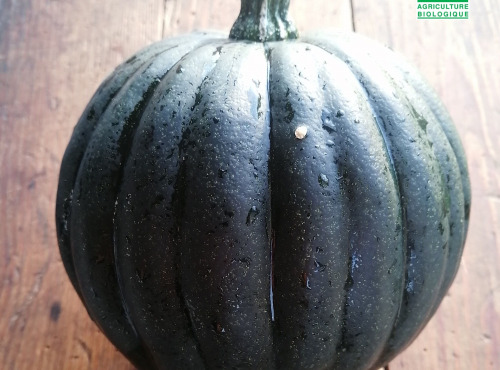 Ferme de Carcouet - Cornue d'Hiver Bio 1.5 kg