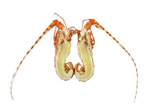 La Maison du Homard - Langouste rose cuite en carapace coupée en 2