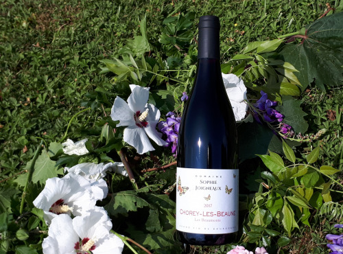Domaine Sophie Joigneaux - AOP Chorey-les-Beaune "les Beaumonts" 3x75cl Millésime 2020