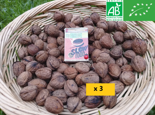 LES JARDINS DE KARINE - NOIX fraîches - 3kg