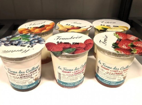 Ferme Joos - Yaourts de brebis aux fruits (dont framboise) - Lot de 6
