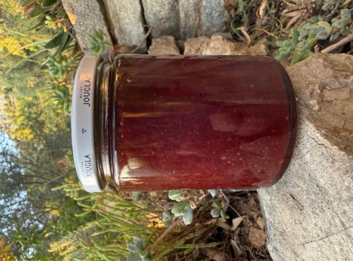 L’Oliveraie du Coudon - CONFITURE DE FRAISE MARA DES BOIS 345 gr