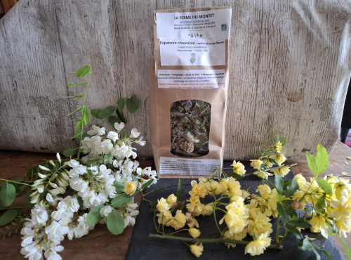 La Ferme du Montet - Eupatoire Chanvrine - partie aérienne fleurie -Eupatorium cannabinum - 30g