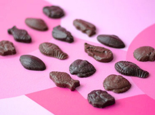 Maison Le Roux - La Friture Praliné