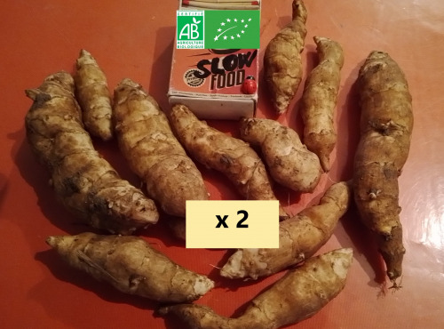 LES JARDINS DE KARINE - Hélianthis - 1kg