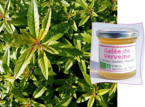L'Agricueilleur du Suzon - Gelée de verveine Bio