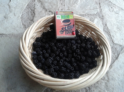 LES JARDINS DE KARINE - Mûres surgelées - 500g