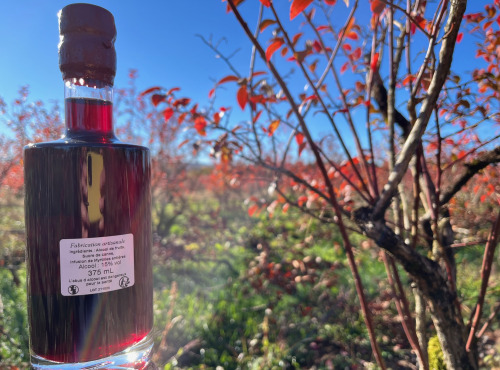 Myrtilles du Trimoulet - Liqueur de Myrtille - 37.5 cL